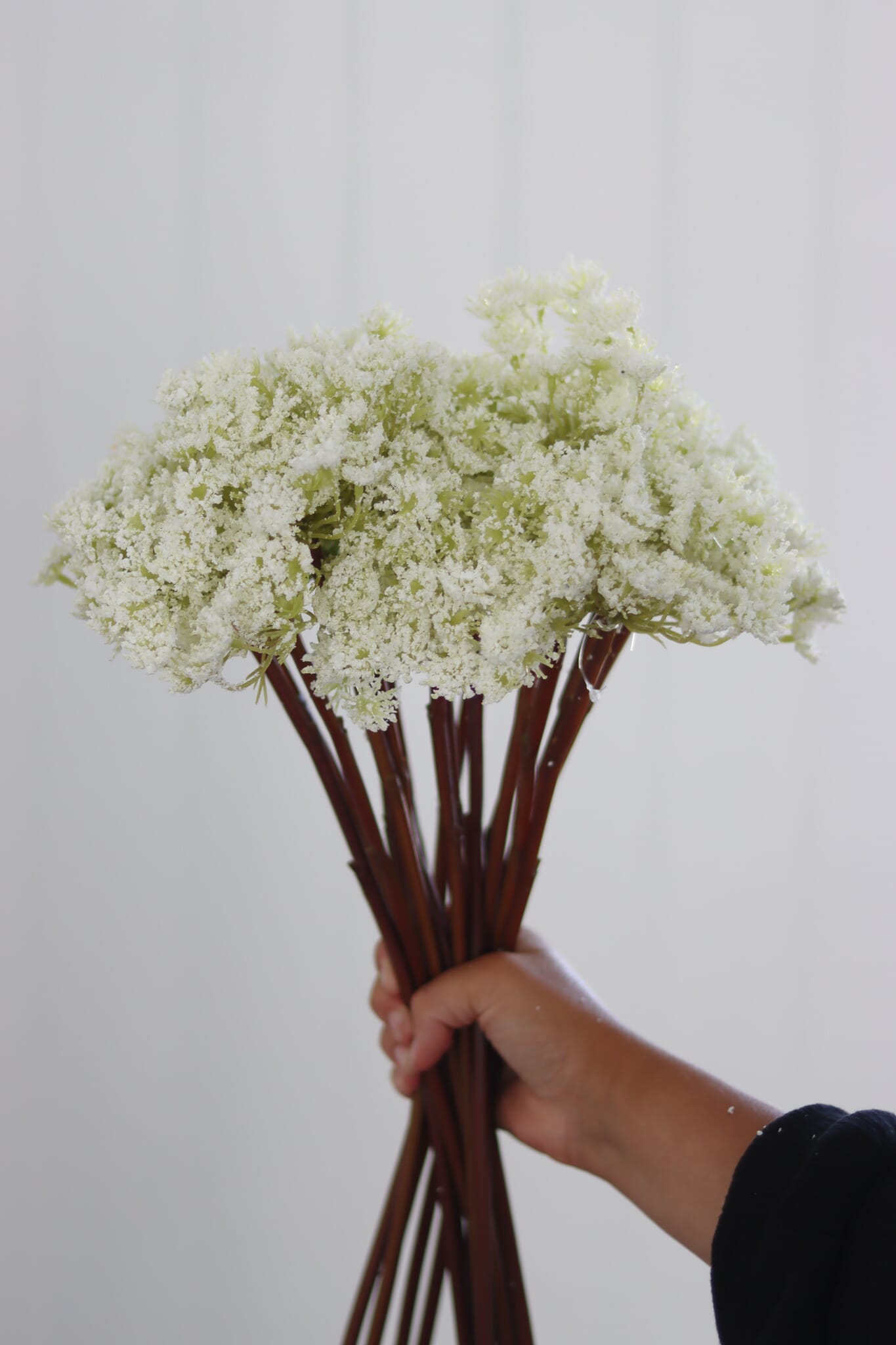 Buy Faux Queen Anne's lace Pretty Little Home